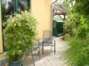 Bilde 11