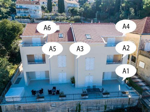 Feriehus / leilighet - 5 personer -  - Kneza Domagoja - 20210 - Cavtat