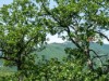 Image 50 - Outside