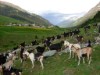 Bild 4 - Ude