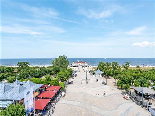 Ferielejlighed - 2 personer -  - Dünenstraße - 17419 - Ahlbeck (Seebad)