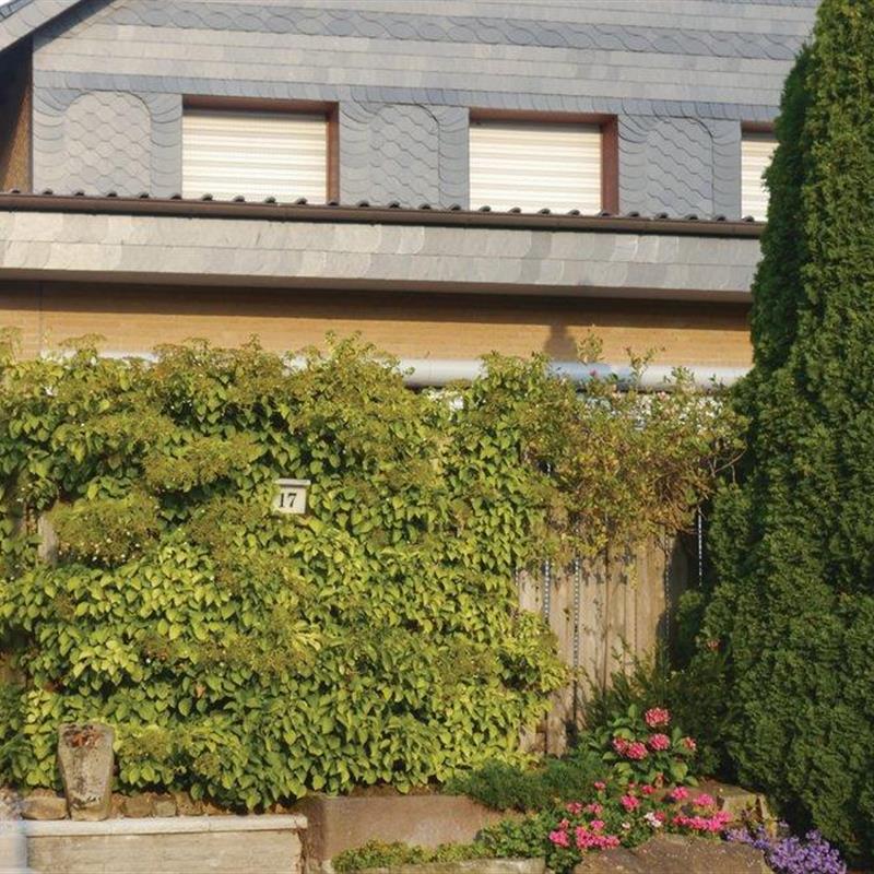 Ferielejlighed - 5 personer -  - Eggersberg - 32816 - Schieder-Schwalenberg