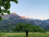Bilde 6