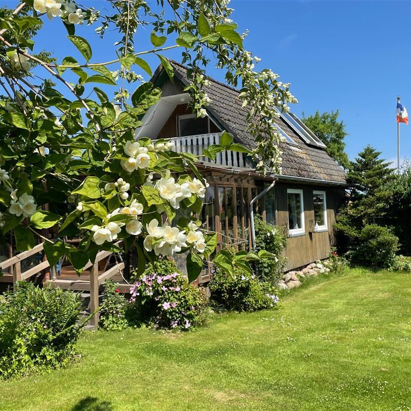 Sommerhus - 4 personer -  - Dammstedtfeld - 24409 - Stoltebüll