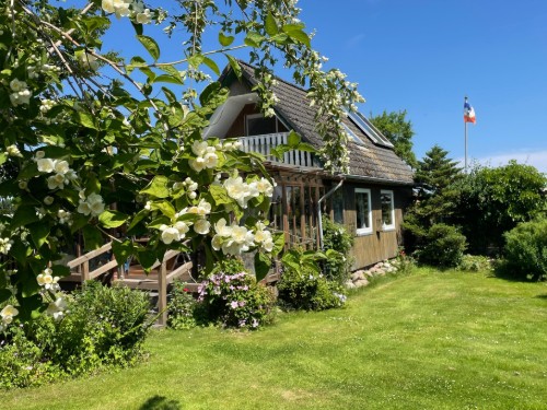 Ferienhaus - 4 Personen -  - Dammstedtfeld - 24409 - Stoltebüll