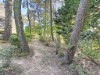 Bilde 19 - Ude