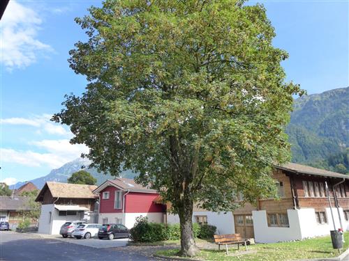 Holiday Home/Apartment - 3 persons -  - Bönigen - 3806