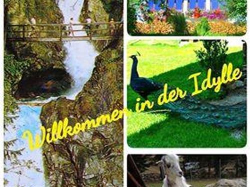 Ferielejlighed - 2 personer -  - Krakaudorf - 8854 - Krakaudorf