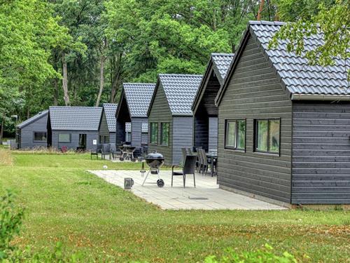 Ferienhaus - 12 Personen -  - Windfang - 18292 - Krakow Am See