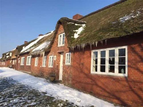 Sommerhus - 8 personer -  - Kleine Gaarde - 25842 - Ockholm