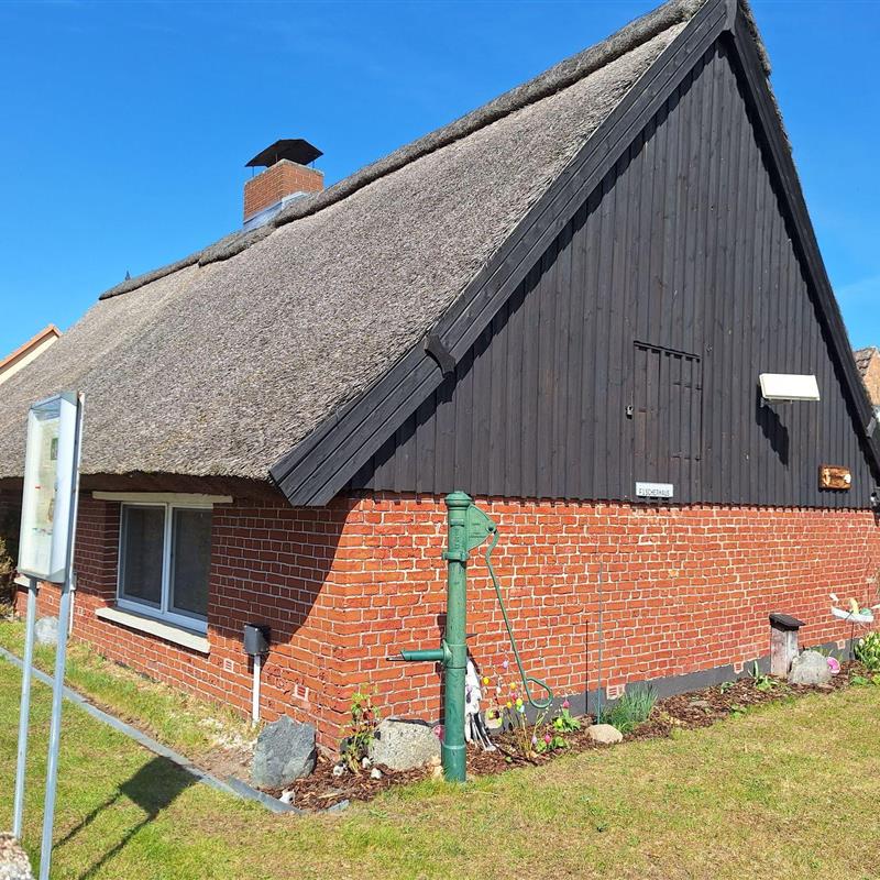 Ferielejlighed - 4 personer -  - Haffstraße - 17375 - Mönkebude