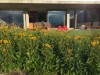 Bild 8 - Aussen