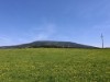 Bild 37 - Ude