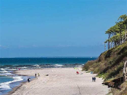 Ferielejlighed - 5 personer -  - Am Gespensterwald - 18211 - Nienhagen