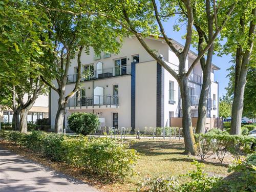 Holiday apartment - 4 persons -  - Kröpeliner Straße - 18230 - Rerik