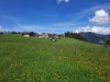 Billede 9