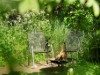 Bild 18