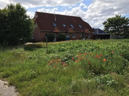 Ferienhaus - 6 Personen -  - 26506 - Norden, Deutschland