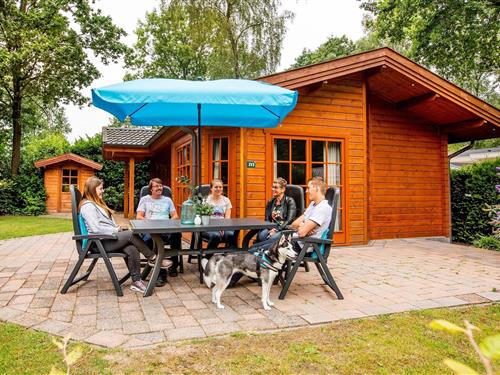 Chalet - 5 personer -  - 6741KP - Lunteren