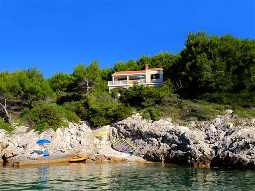 Holiday apartment - 2 persons -  - Danca 16, Prižba - 20271 - Blato