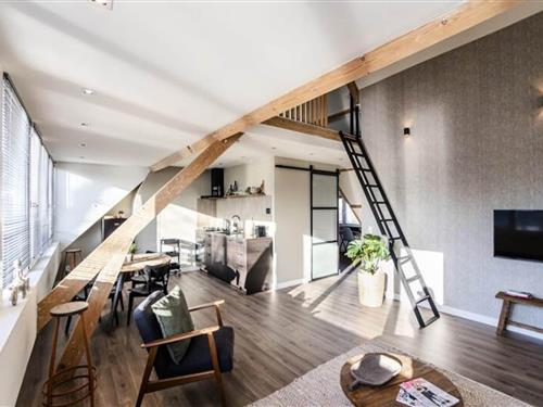 Ferielejlighed - 3 personer -  - 2042 EV - Zandvoort