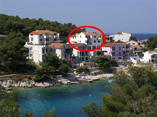 Holiday apartment - 3 persons -  - Strane 24, Bilo - 22202 - Primosten