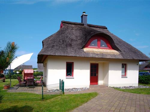 Ferienhaus - 4 Personen -  - Am Kurpark - 18551 - Glowe (Rügen)