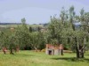 Image 11 - Outside