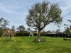 Bild 16