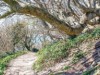 Bild 17
