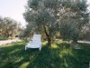 Bilde 21
