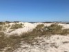 Billede 18