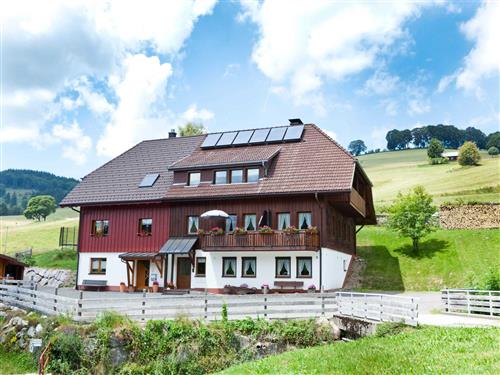 Ferienhaus - 2 Personen -  - Rüttestr. - 79674 - Todtnau