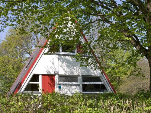 Ostsee Resort Damp - Nurdachhaus 65 m² - max. 6 Personen