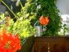 Bild 16