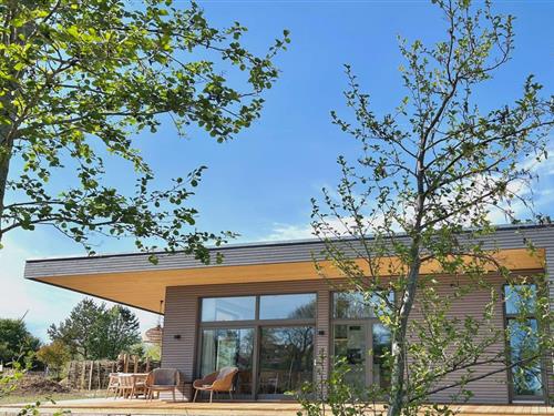 Feriehus - 8 personer -  - Hellschener Chaussee - 25764 - Süderdeich