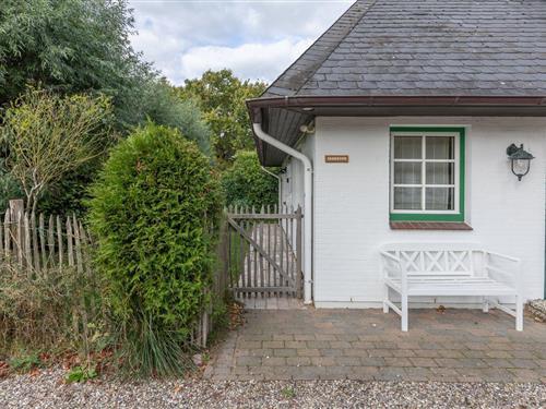 Ferielejlighed - 3 personer -  - Lagedeich - 25876 - Wisch