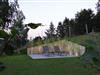 Bilde 6