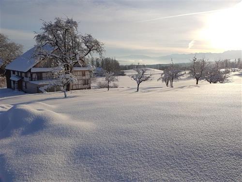 Holiday home - 6 persons -  - Langnau Am Albis - 8135