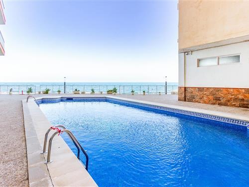 Ferienhaus - 4 Personen -  - Calle Timonel - 03182 - Torrevieja