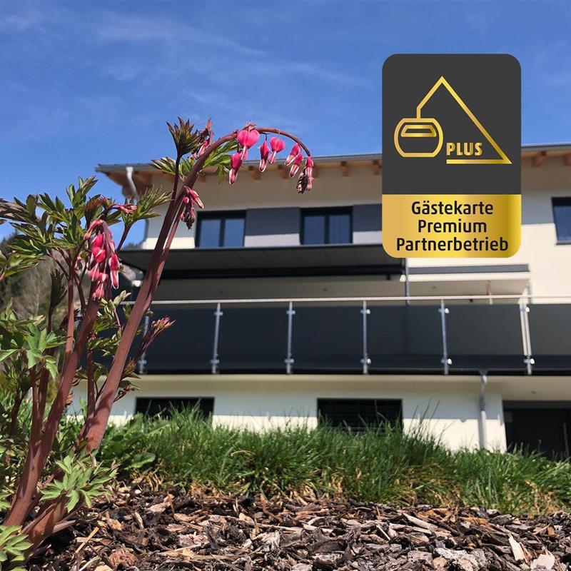 Ferielejlighed - 4 personer -  - Obere Gasse - 6752 - Dalaas / Wald Am Arlberg