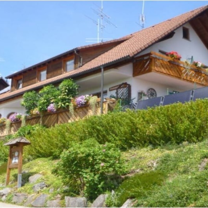 Sommerhus - 4 personer -  - 79877 - Friedenweiler
