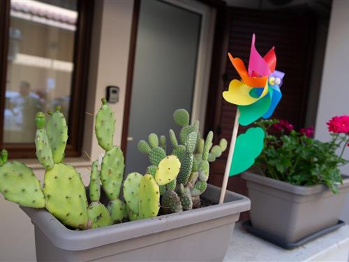 Ferielejlighed - 3 personer -  - Via santa canterina da Siena - 90041 - Balestrate