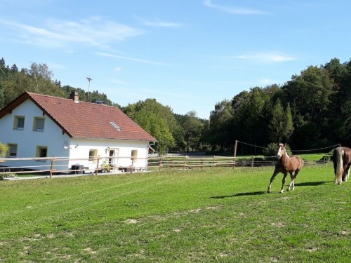 Sommerhus - 6 personer -  - 93468 - Miltach