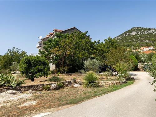 Ferielejlighed - 5 personer -  - Donji Zaton - Dubrovnik-Zaton Doli - 20230 - Zaton Doli