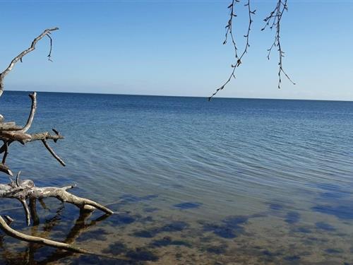 Ferielejlighed - 3 personer -  - Wendorfer Straße - 18574 - Garz/Rügen