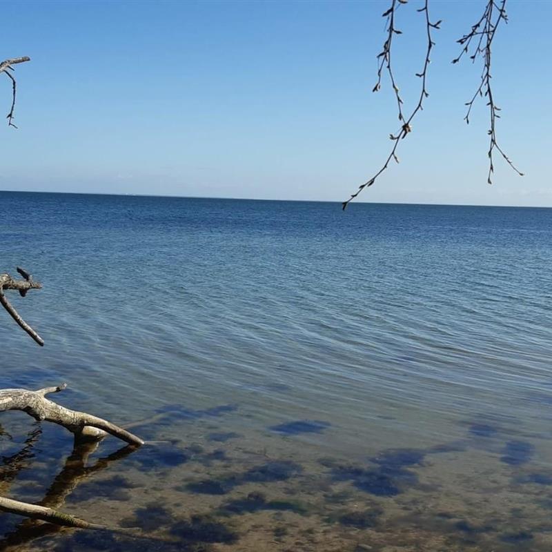 Ferielejlighed - 3 personer -  - Wendorfer Straße - 18574 - Garz/Rügen