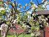 Bild 7 - Aussen
