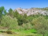 Billede 12