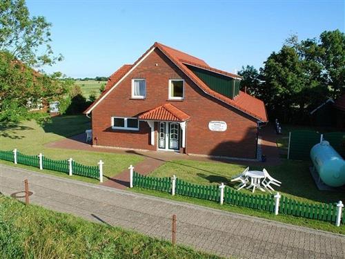 Holiday Home/Apartment - 5 persons -  - Osterdeicher Weg - 26553 - Dornum / Neßmersiel